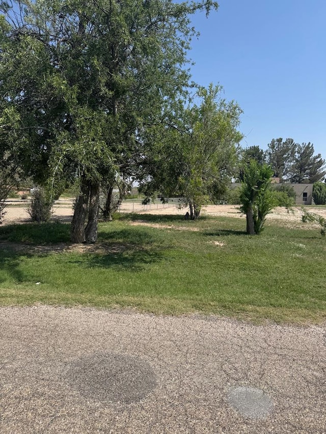 1508-3 Division St, Fort Stockton, TX 79735 - photo 1