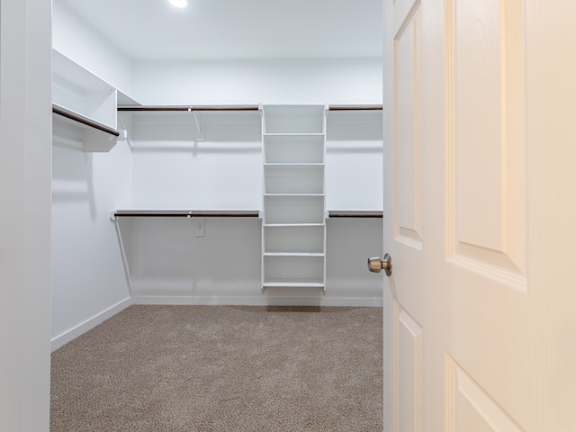 walk in closet with carpet floors