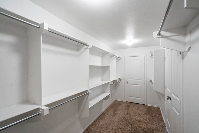 spacious closet with dark colored carpet