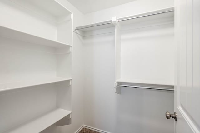 view of walk in closet