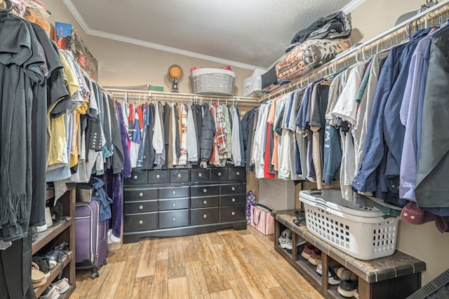 spacious closet featuring light hardwood / wood-style flooring