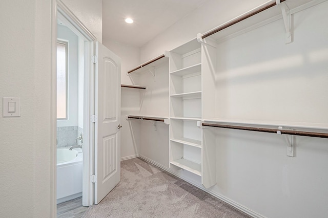 spacious closet with light colored carpet