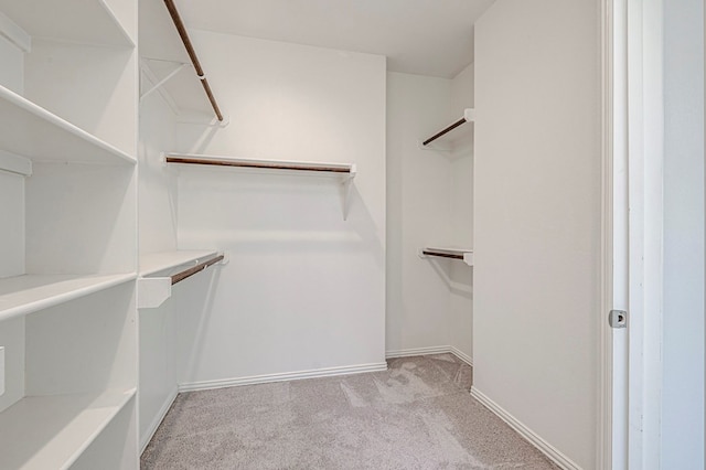 walk in closet with light colored carpet