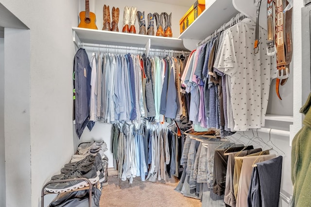 1 Kiowa Cir, Big Spring, TX 79720 - walk in closet featuring carpet floors