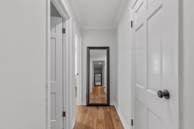 hall featuring light hardwood / wood-style floors and crown molding