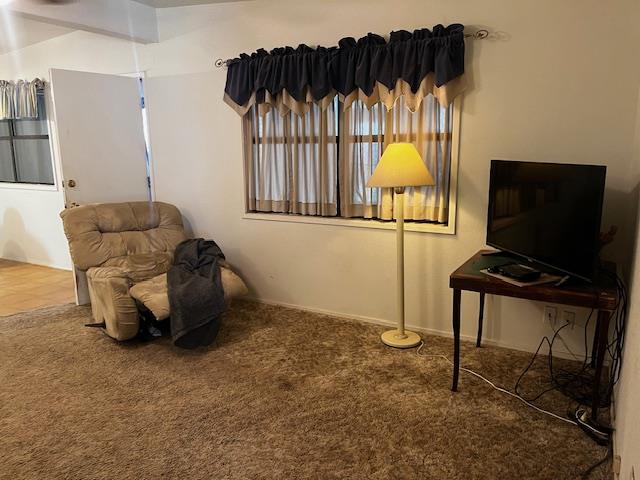 sitting room featuring carpet floors