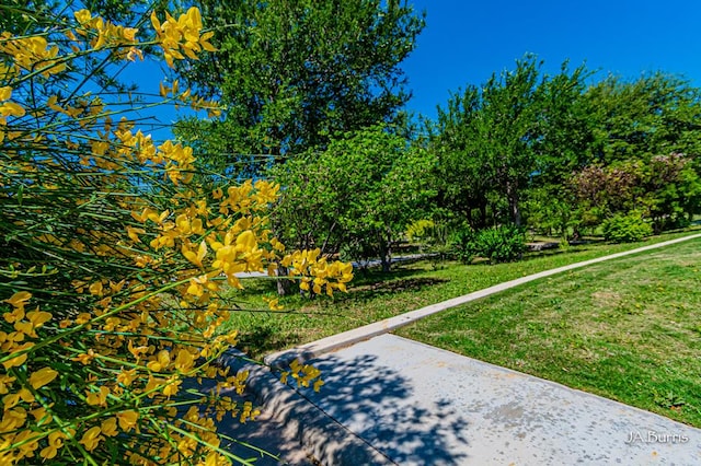 view of green lawn