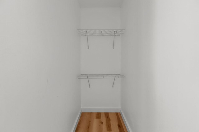 walk in closet featuring wood-type flooring