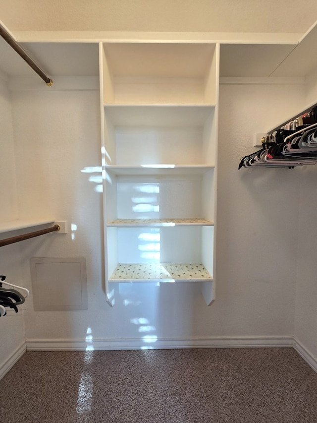 view of walk in closet