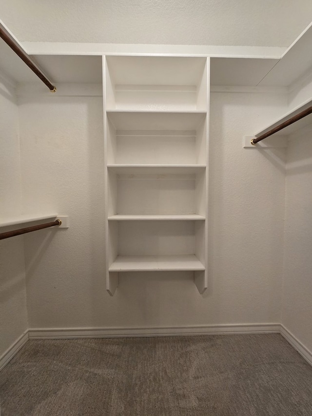 walk in closet featuring carpet