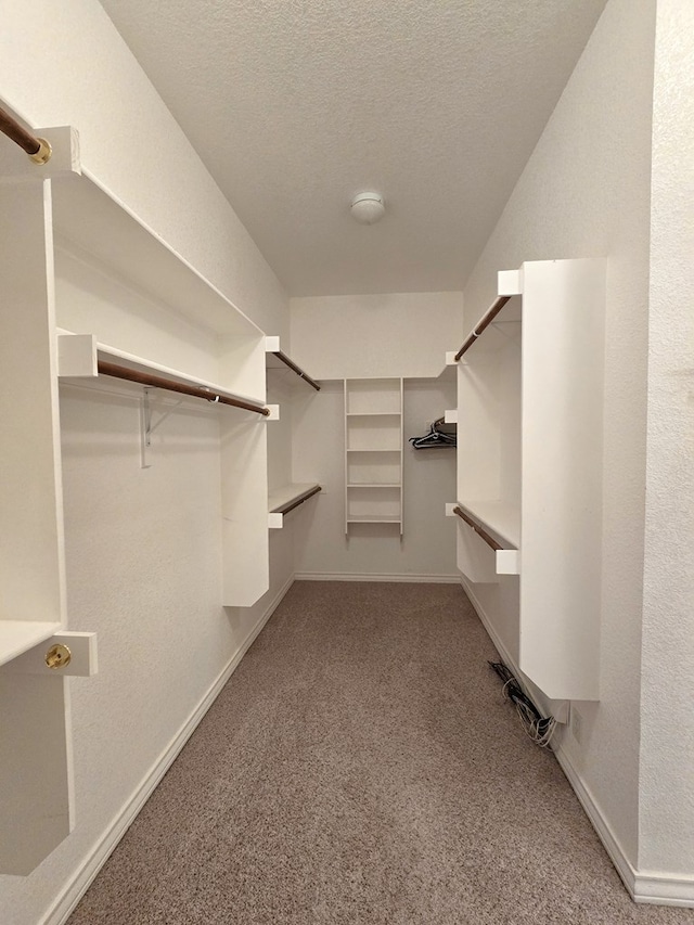 spacious closet with carpet