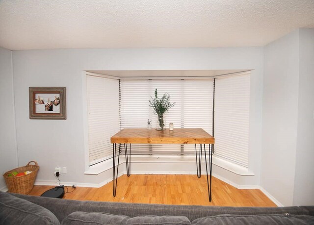2718 Central Ave, Big Spring, TX 79720 - interior space with wood finished floors and a textured ceiling
