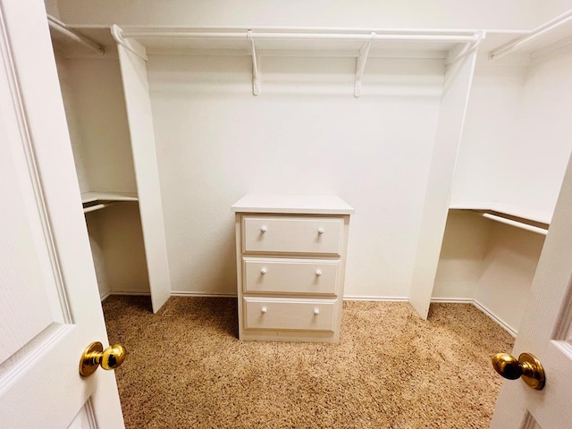 walk in closet with carpet