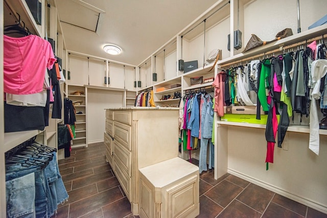 walk in closet with dark hardwood / wood-style floors