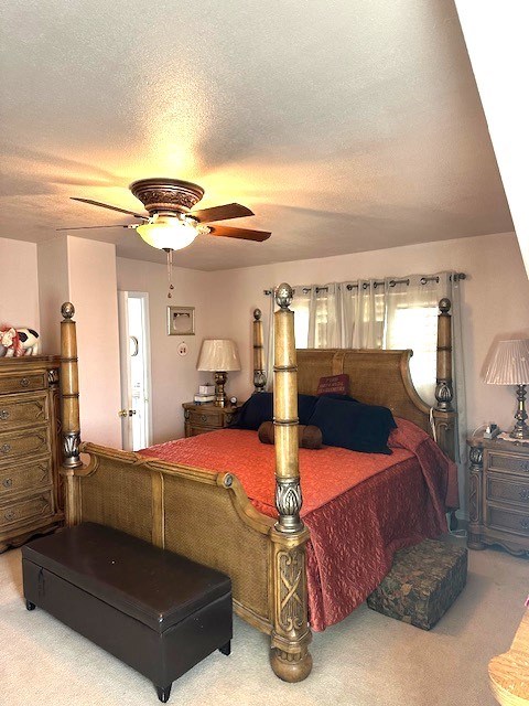 239 W 41st St, Fort Stockton, TX 79735 - photo 16