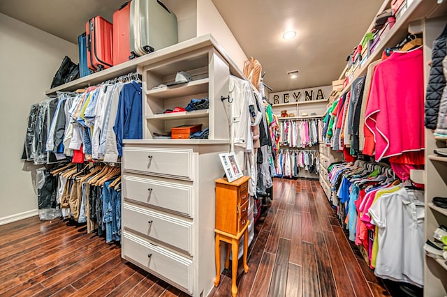 spacious closet featuring dark hardwood / wood-style flooring