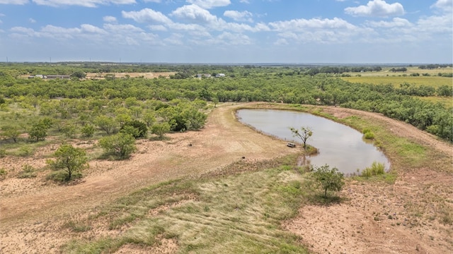 TBD Fm 1176, Santa Anna, TX 76878 - photo 7