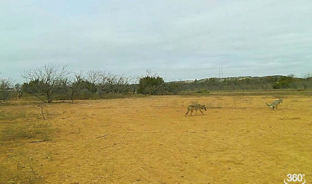TBD Fm 1176, Santa Anna, TX 76878 - photo 12