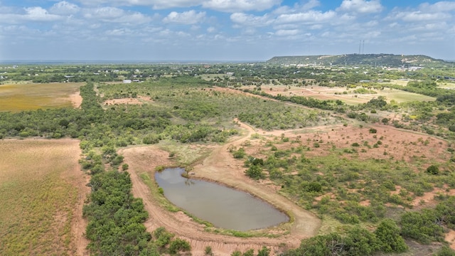 TBD Fm 1176, Santa Anna, TX 76878 - photo 9