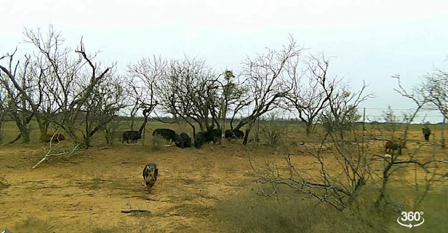 TBD Fm 1176, Santa Anna, TX 76878 - photo 20