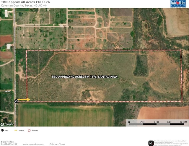 TBD Fm 1176, Santa Anna, TX 76878 - photo 22