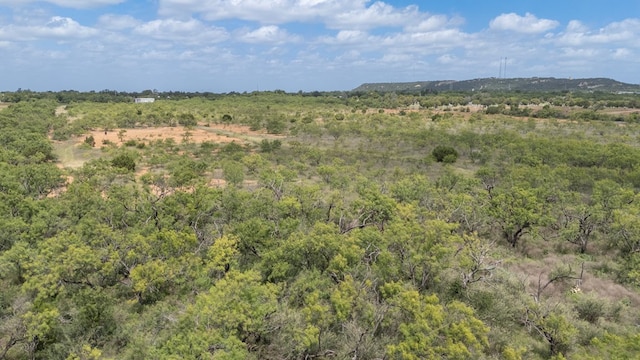 TBD Fm 1176, Santa Anna, TX 76878 - photo 11