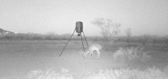 TBD Fm 1176, Santa Anna, TX 76878 - photo 15