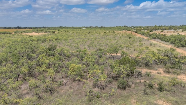 TBD Fm 1176, Santa Anna, TX 76878 - photo 5