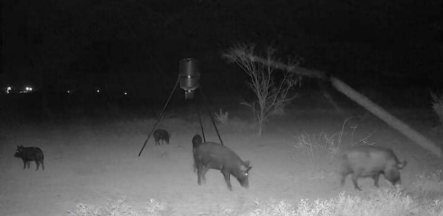 TBD Fm 1176, Santa Anna, TX 76878 - photo 21