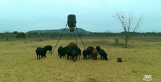 TBD Fm 1176, Santa Anna, TX 76878 - photo 19