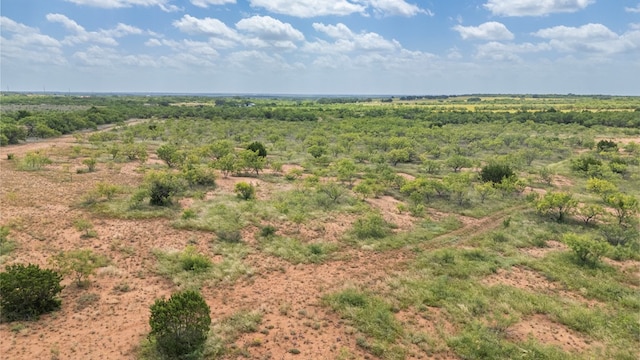 TBD Fm 1176, Santa Anna, TX 76878 - photo 3