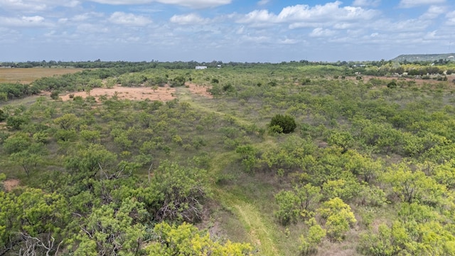 TBD Fm 1176, Santa Anna, TX 76878 - photo 6