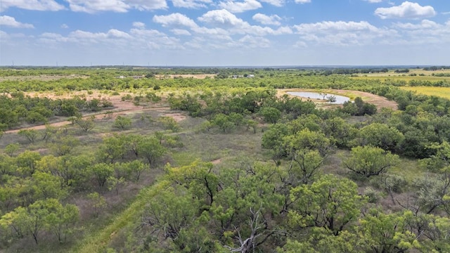 TBD Fm 1176, Santa Anna, TX 76878 - photo 1