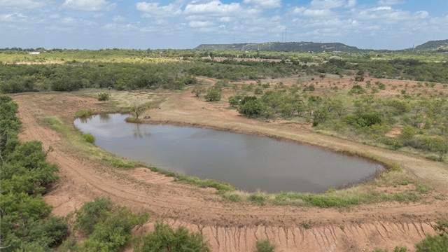TBD Fm 1176, Santa Anna, TX 76878 - photo 8
