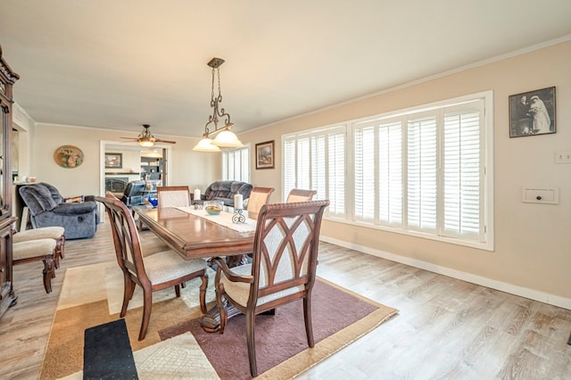 dining space featuring ornamental molding, light hardwood / wood-style flooring, ceiling fan, and a healthy amount of sunlight