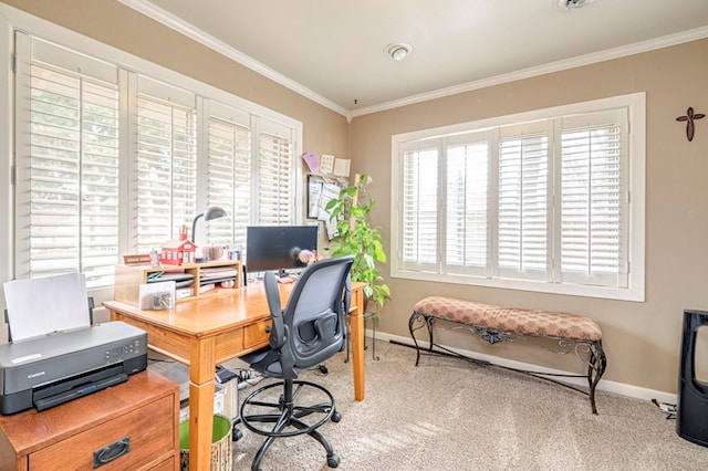 carpeted office with crown molding