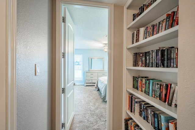 4508 Island Dr, Midland, TX 79707 - corridor with carpet flooring