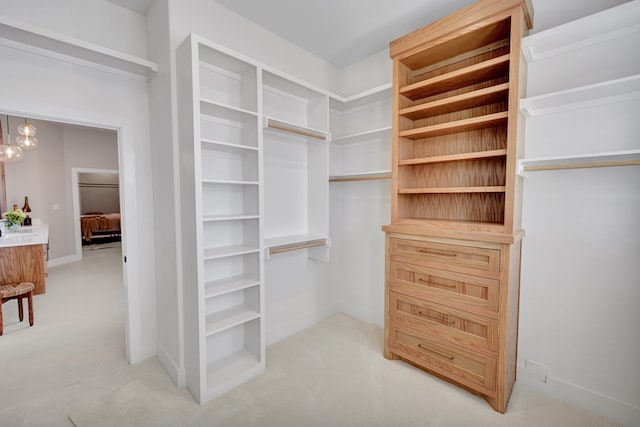 view of spacious closet