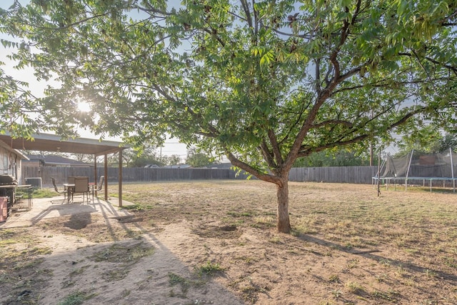 807 Boyd Ave, Midland, TX 79705 - view of yard with a fenced backyard, a trampoline, and a patio area