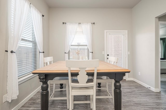 dining room with dark hardwood / wood-style flooring