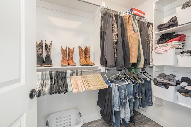 walk in closet with hardwood / wood-style flooring