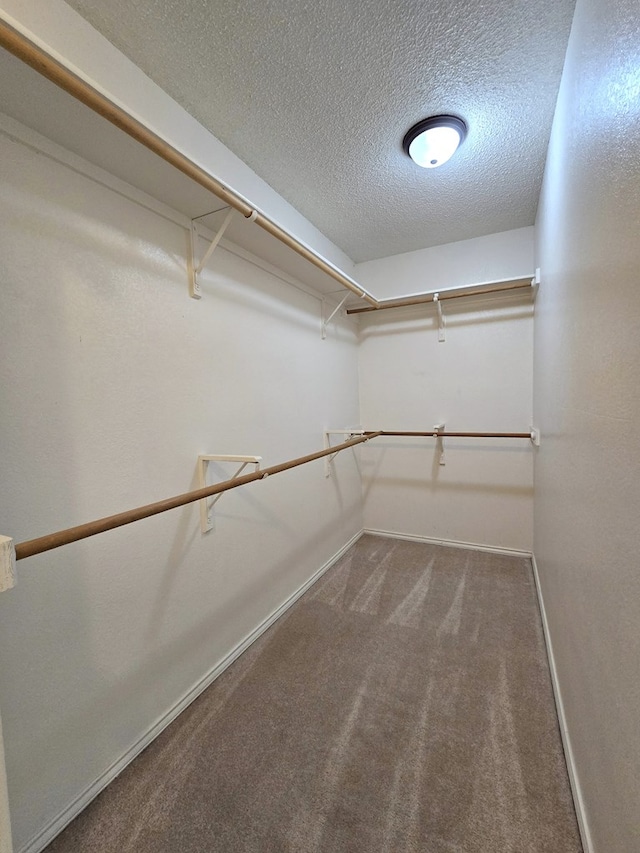 4908 Timber Ct, Midland, TX 79707 - spacious closet with carpet floors