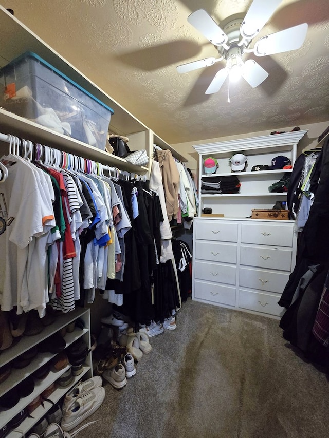 2901 Rebel Dr, Midland, TX 79707 - spacious closet featuring carpet floors and ceiling fan