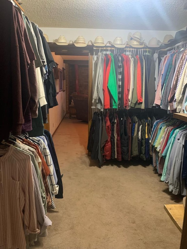 spacious closet with light colored carpet