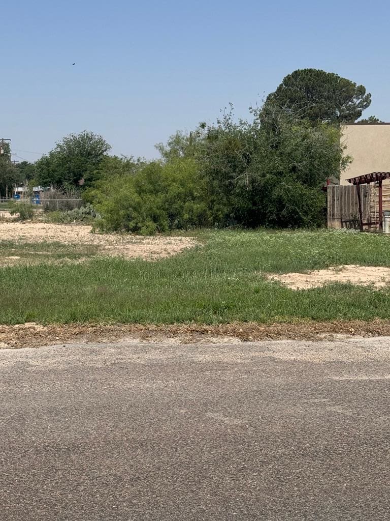 1508-1 Rio St, Fort Stockton, TX 79735 - photo 1
