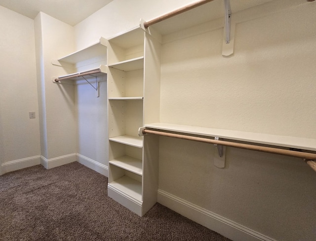 walk in closet featuring dark colored carpet