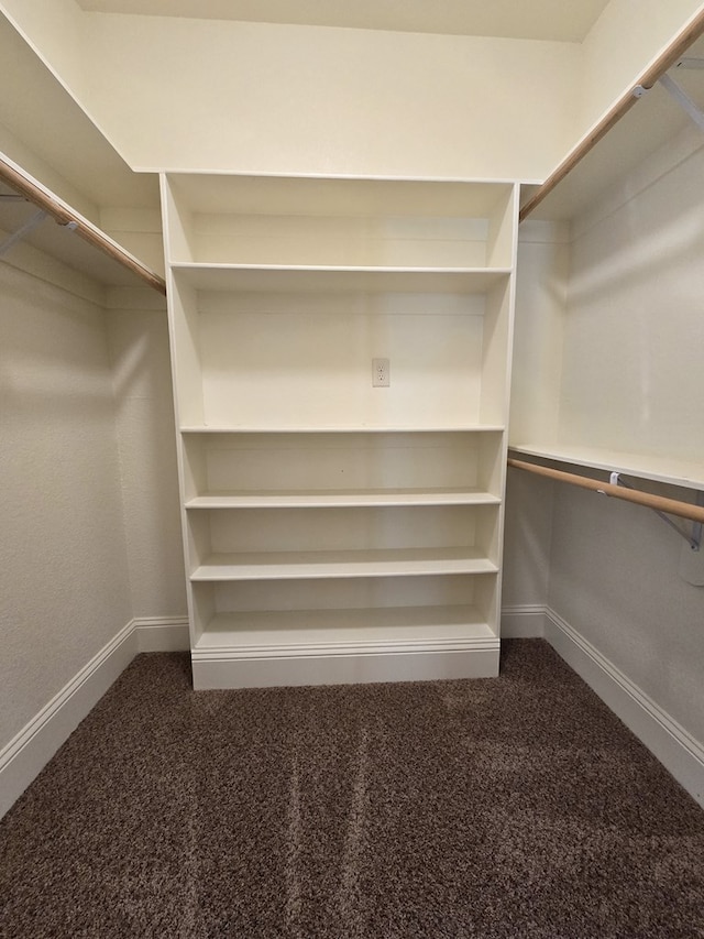 walk in closet with dark carpet