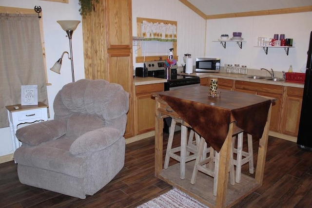 kitchen featuring dark wood-style floors, lofted ceiling, stainless steel electric stove, a sink, and light countertops