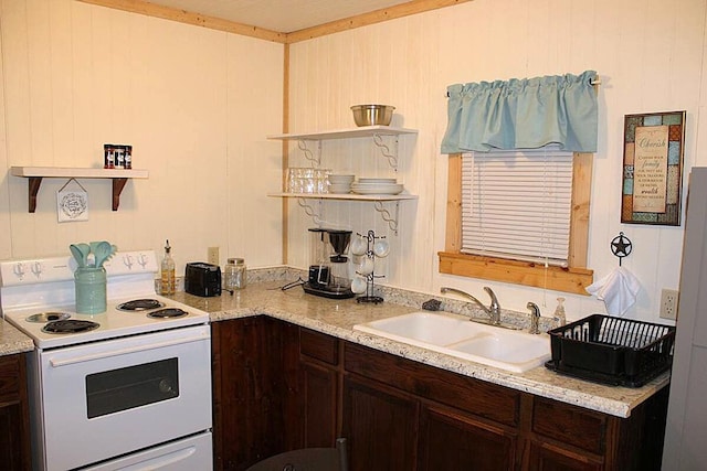 kitchen with a sink, dark brown cabinets, white electric stove, and open shelves