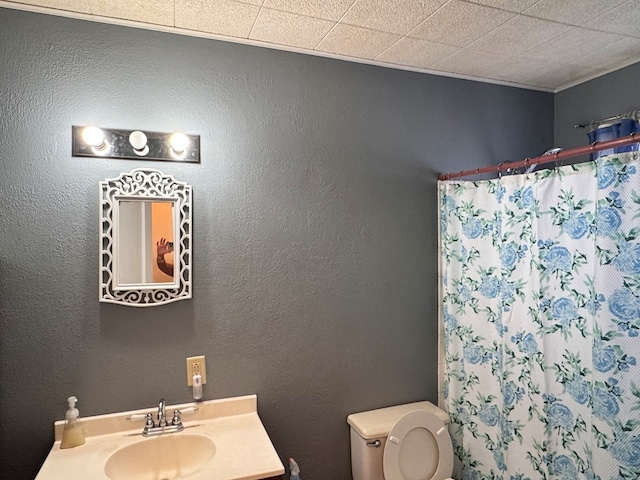 bathroom featuring vanity, toilet, and curtained shower